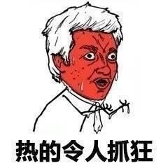 天气热的图片表情包蚊子