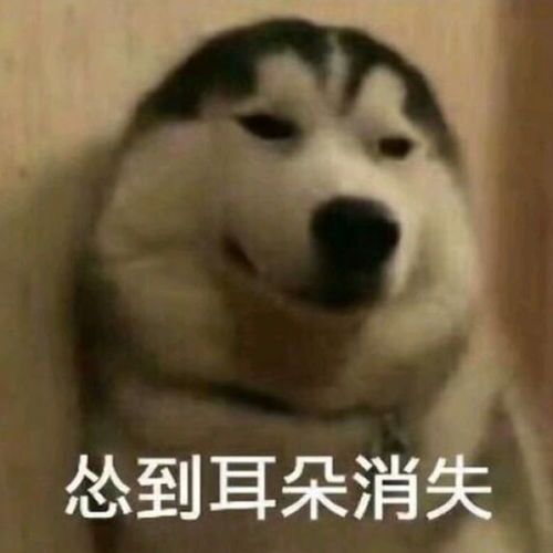 沙雕表情包拿走不谢