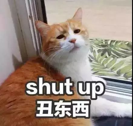 261期丨2017老外最爱的表情包都在这脑洞太清奇,不忍直视..