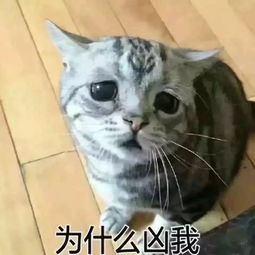 怎么让男女朋友不经意地看到这篇文章