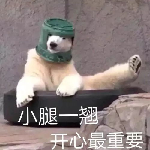 沙雕表情包好慌,稳住稳住