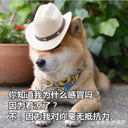 七夕节尔晴叫你撩汉攻略,不想吃狗粮就赶快学起来