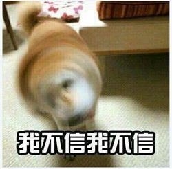 我不听我不听系列表情包完整版下载我不听我不听系列搞笑表情包下载极速下载