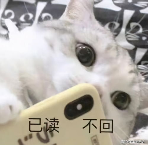 当学渣是种什么体验人固有一死,或卒于数学,或葬于物理