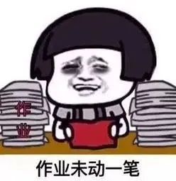 我为群众办实事开学了,父母也太开心了吧