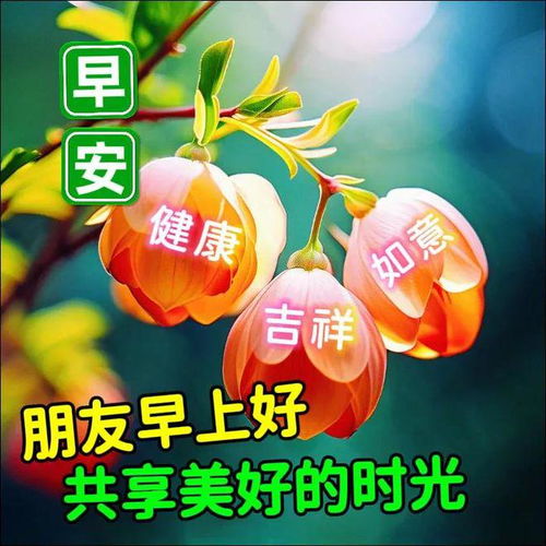 2024年8月7日早安祝福图片