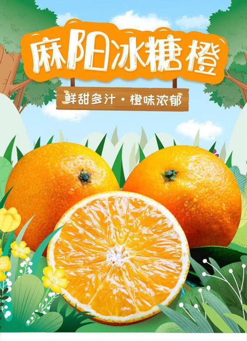 湖南麻阳冰糖橙当季新鲜橙子水果5斤非夏橙脐橙买五送五