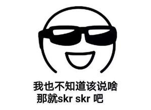 抖音超火skr表情包大全