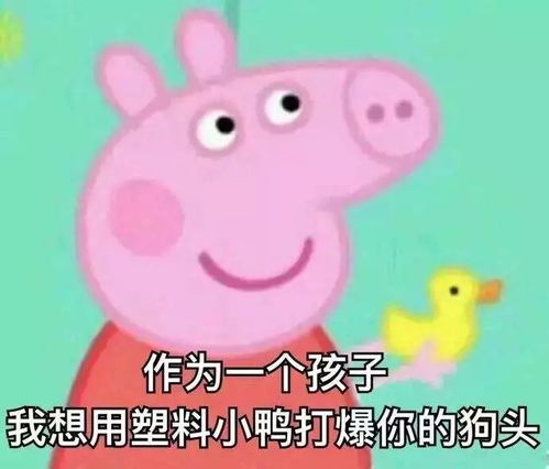 时尚潮流视频表情包小猪