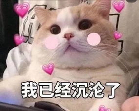 今日嘉宾推荐wo来了,93年甜美可爱型教师小姐姐,我在这里,你在哪里