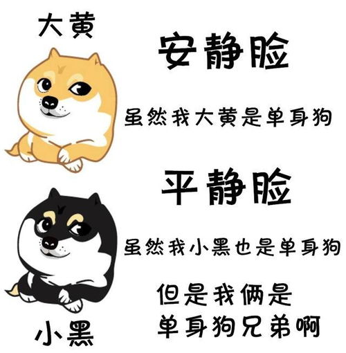 有趣表情包我凭实力叫单身狗,有些话有必要说一说