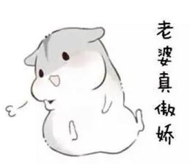 哄老婆表情包大全老婆大人对不起好喜欢老婆我老婆超级可爱