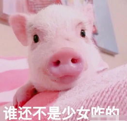 小奶狗突然不秒回了踢几个表情包给他,对方正在马不停蹄地赶来