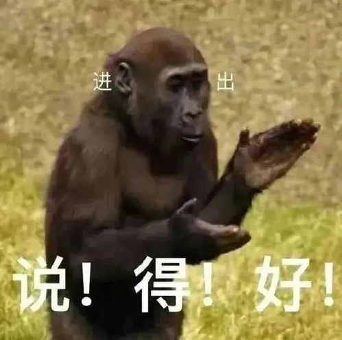 为了留住男闺蜜我选择做他小三,可他凭什么对他女友比对我好