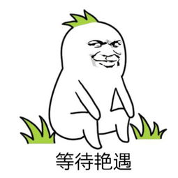 安吉田园嘉乐比乐园又加新项目啦,不一样的游玩攻略已get