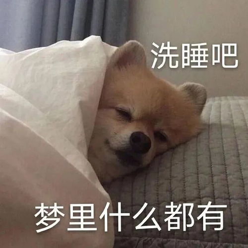 艺考生专用表情包,是艺术生就进来收图