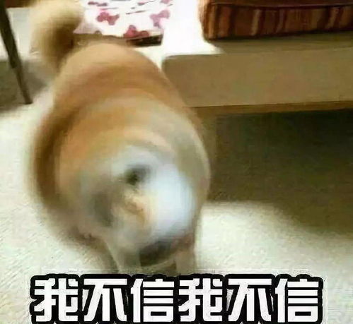 嗨起来表情包我不听
