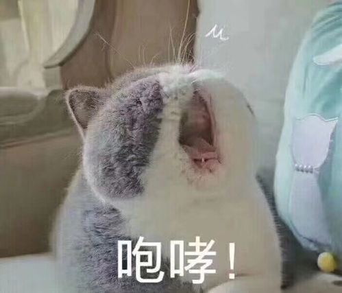 即将签约自如或者有朋友打算签自如房子的小可爱看...