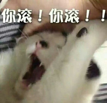 搞笑笑话段子老爸有个仙人球