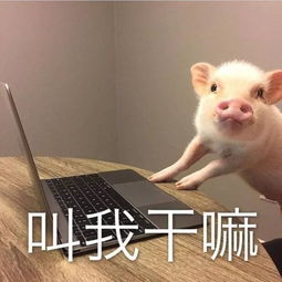 关于健身,你真的误会了