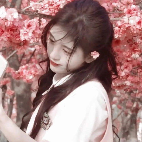 无标题