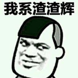 来自渣渣辉的警告表情包完整版分享高清无水印合集大全