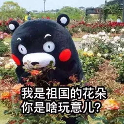 摧毁一个熊孩子有多困难