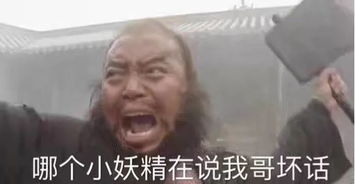 周杰伦数据不行王一博妈妈爱你追星到底怎么追