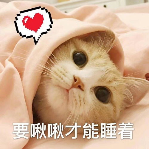 你字多你说得对表情包表情