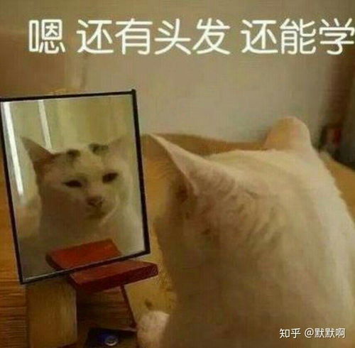 考研身份证掉了怎么办
