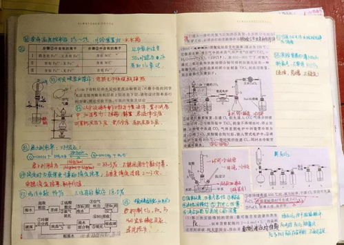 别人高三有三年,你高中只有一年,如何赶超他们