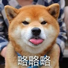 8.6到成都略略略,有人一起嗨的吗略略略