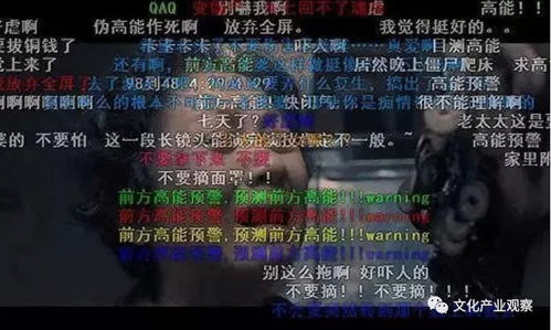 弹幕文化发家史那群深夜发弹幕的年轻人