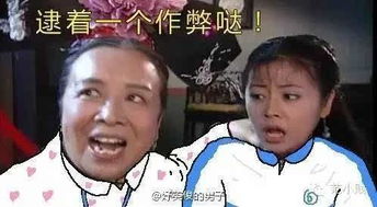 好方犯二的还珠格格表情包连续剧,有你的青春吗