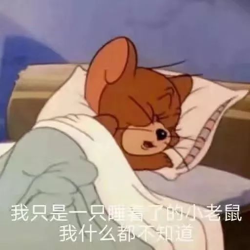 学业辅导员说寒假快乐充实的秘诀你的专属学习指南