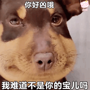 微信可爱聊天表情包我能有什么坏心眼呢
