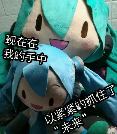 fufu表情包整合有端迫害
