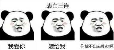 莫言三连表情包火了,没点儿文化你都看不懂