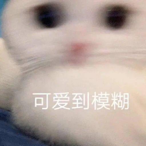 沙雕表情我会让你无法拒绝