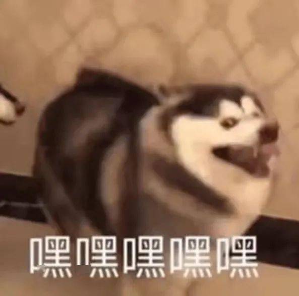 诚信考试咱有考试秘籍,水成绩duck不必