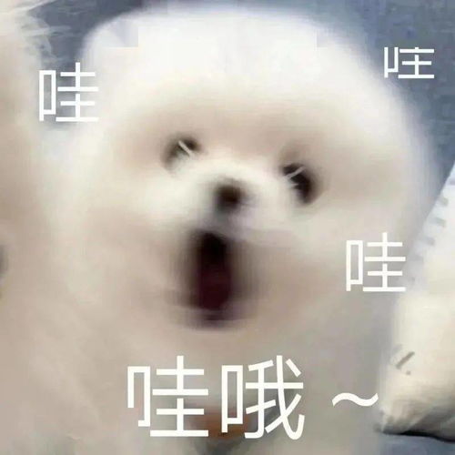 编辑部购物车首公开20私藏好物入股不亏
