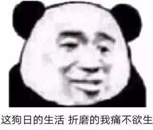 我他么心态崩了呀表情包脑机接口