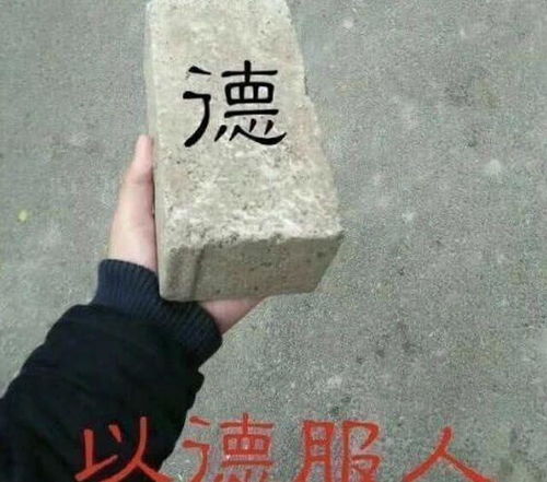以德服人表情包德国争锋