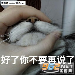 朕的江山要亡了表情包我跟你讲我就这表情猫咪表情包下载乐游网游戏下载