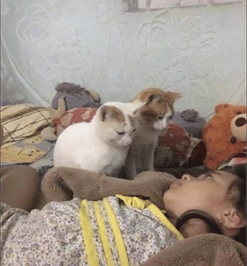 第一次喝这种酒,需要注意点什么网友补的太多了,哈哈哈哈