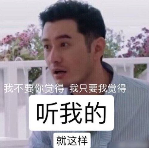 不是励志屌丝吗现在怎么成综艺混子了