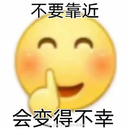 有比较了解果机的毛姐吗