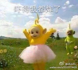 马鹿塘那一片杜鹃花海