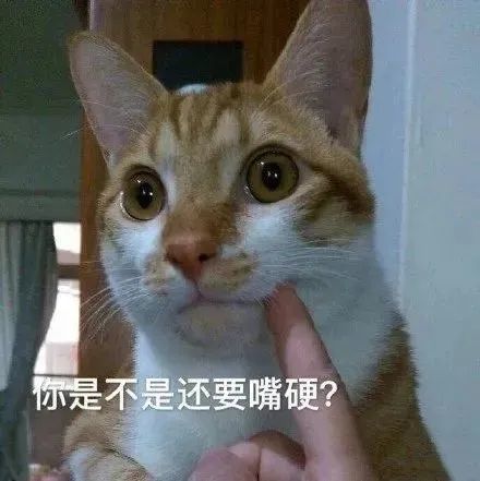 微信表情包敲个性表情包来一波