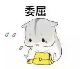 可爱仓鼠夫妇表情包